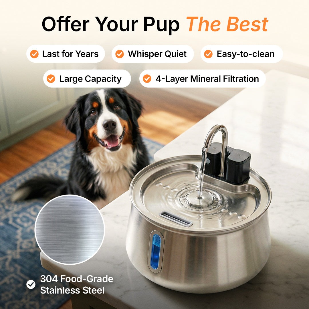 The Doggy Fountain™