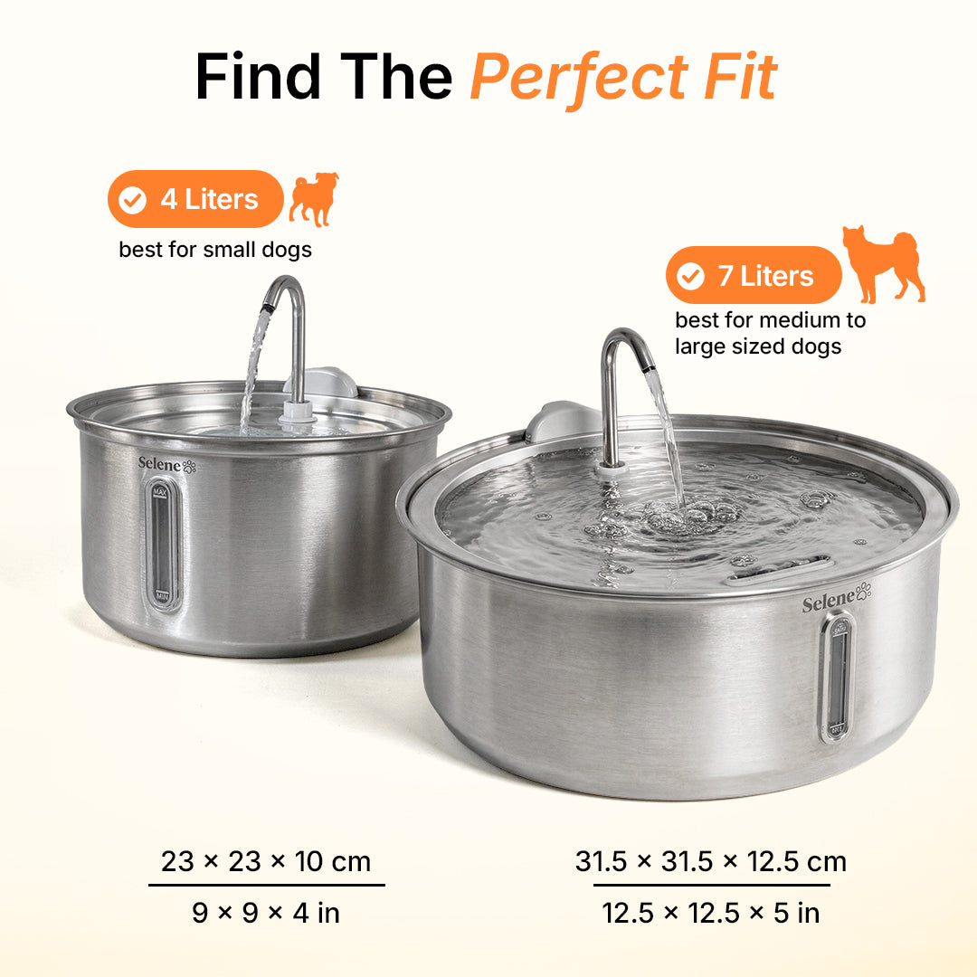 The Doggy Fountain™