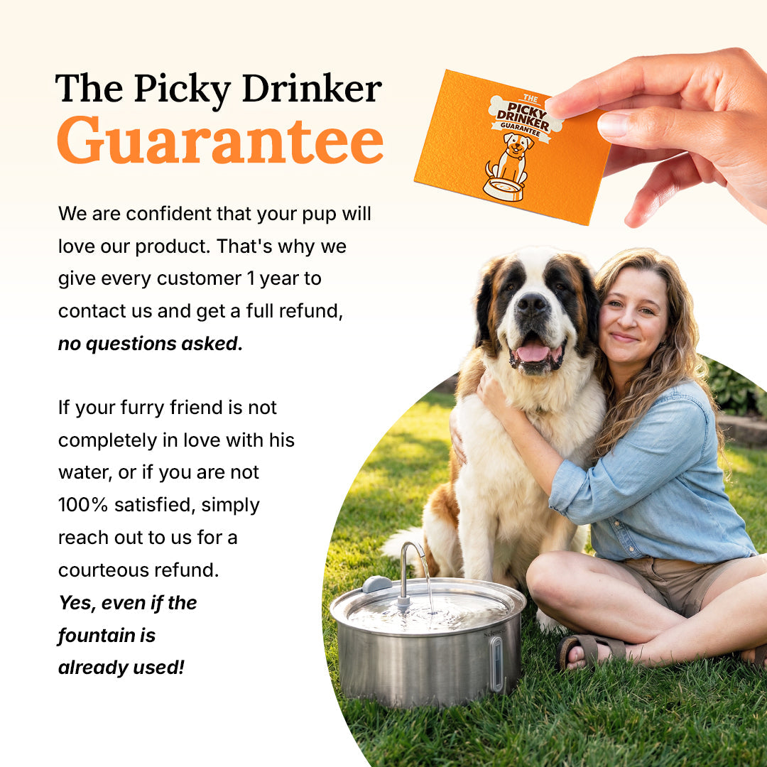 The Doggy Fountain™