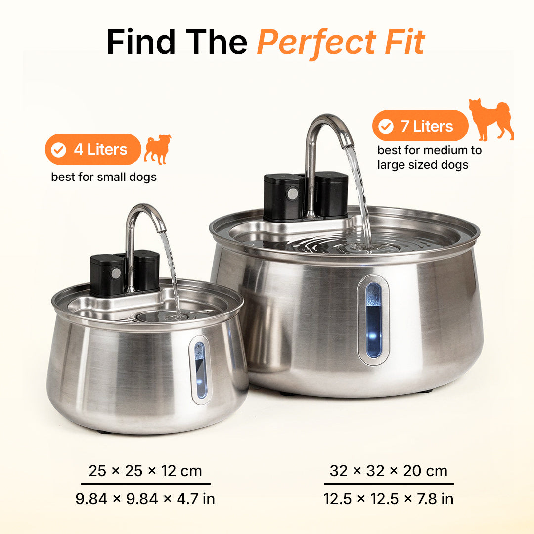The Doggy Fountain™