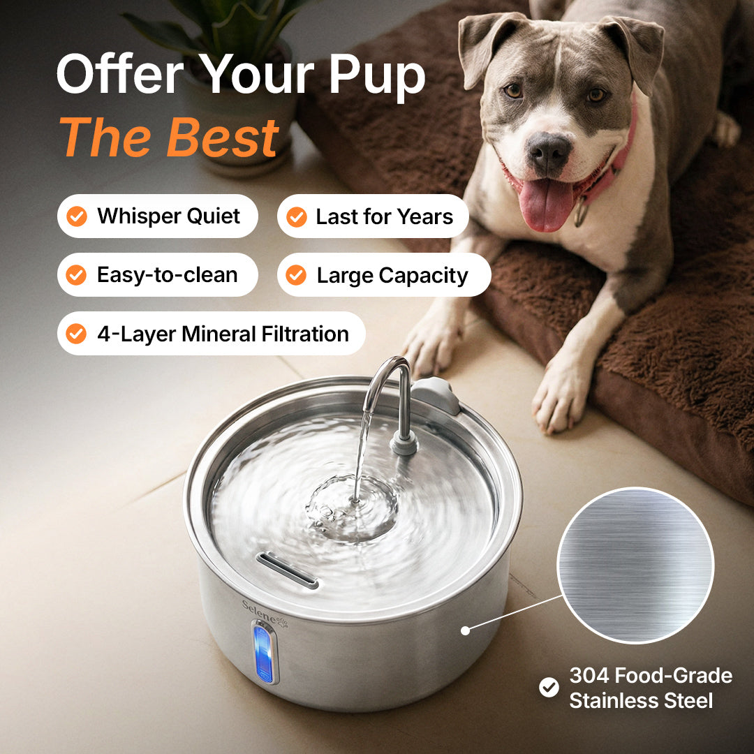 The Doggy Fountain™