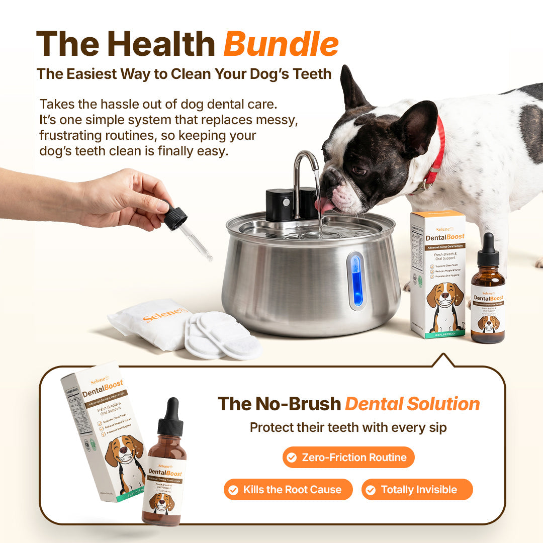 The Doggy Fountain™