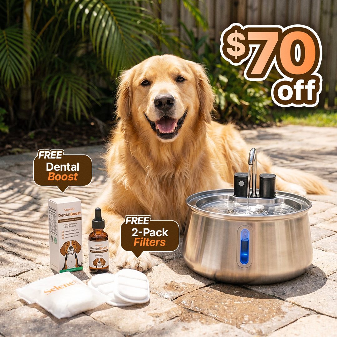 The Doggy Fountain™